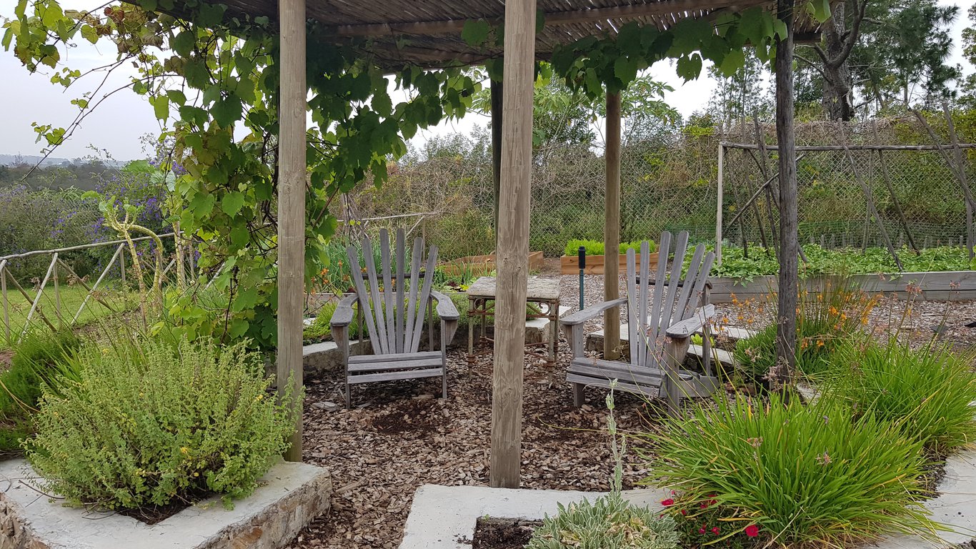 camphor tree cottage