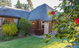 Coral Tree Cottages image