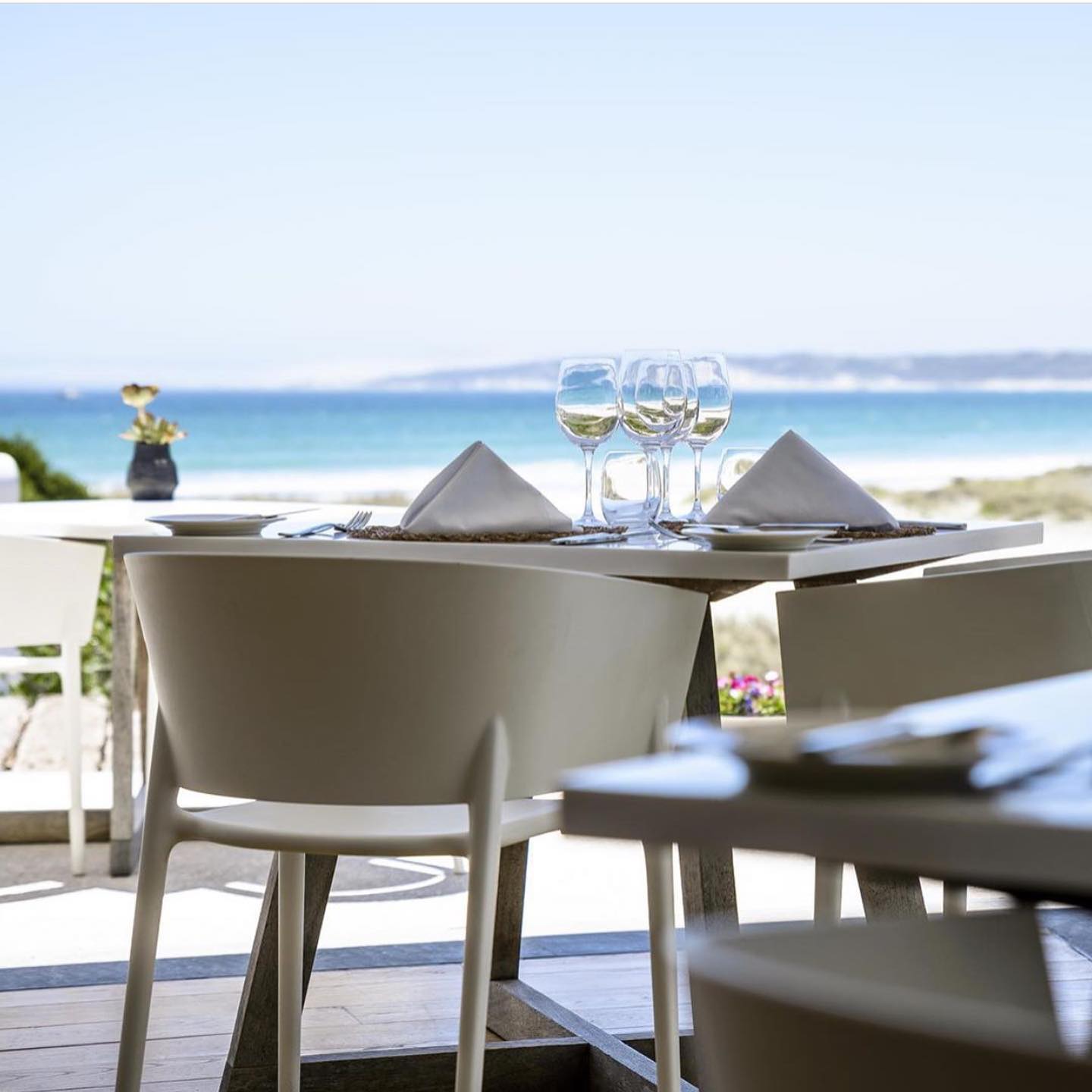 Top 10 Restaurants In The Cape West Coast – Afristay Blog