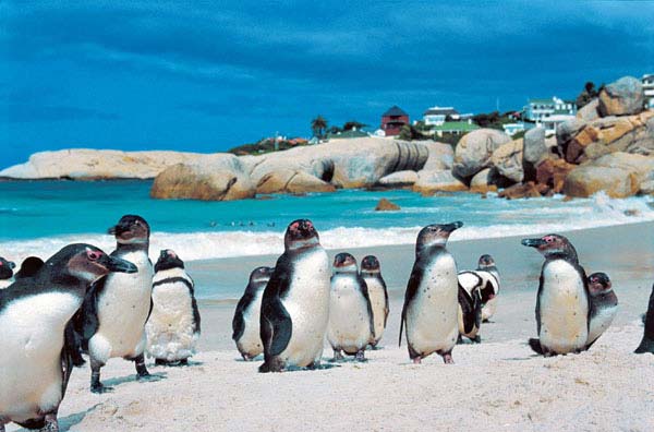 Top Ten SA Beaches – Afristay Blog