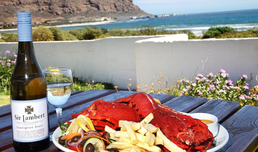 Garden view in Elands Bay, Western Cape, South Africa