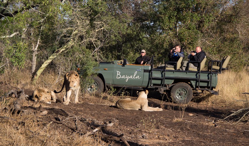 Bayala Game Lodge in Hluhluwe — Best Price Guaranteed