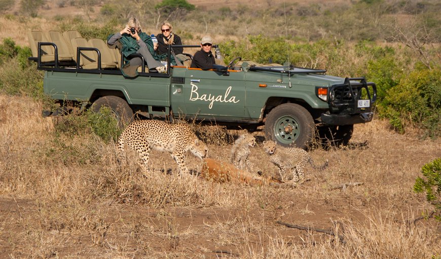 Bayala Game Lodge in Hluhluwe — Best Price Guaranteed