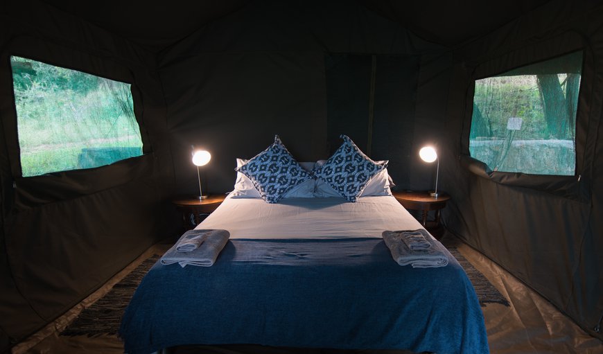 Safari Tent