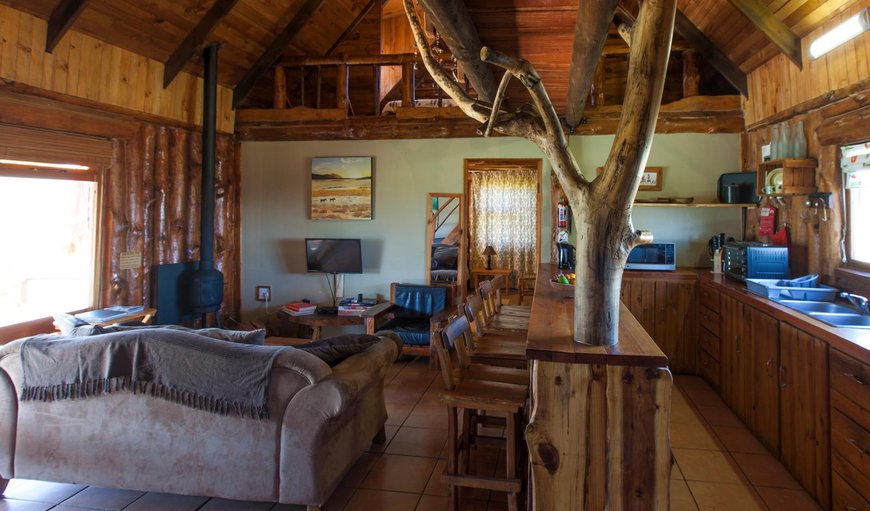 Kitchen and lounge area