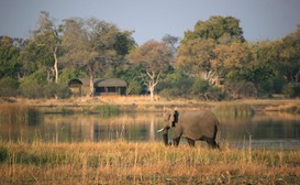 Jackalberry Tented Camp image