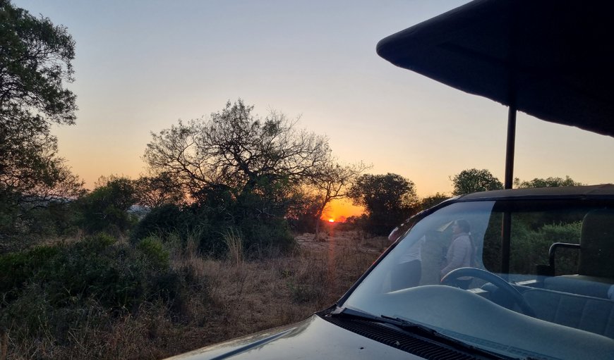 Kareekloof Game Farm in Koster, North West Province, South Africa