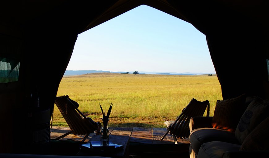 Waterhole View Tents photo 39