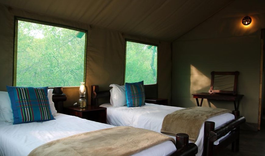 Safari Tent: Camp bedroom