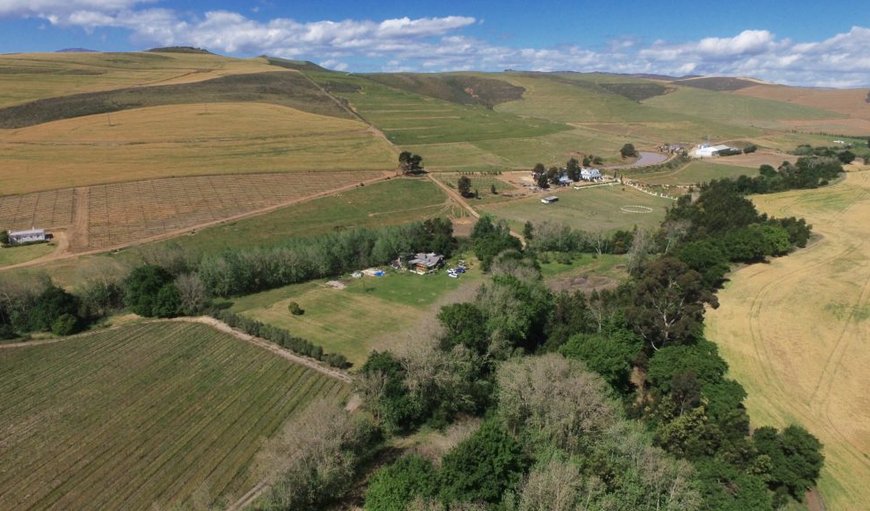 The farm itself is a green oasis nestled in the Botrivier Valley between two streams and surrounded by apple and wine farms.