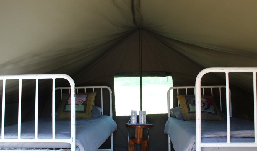 Glamping Tent: Glamping Tent