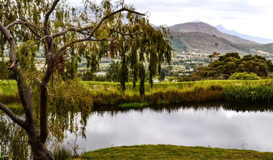 Garden view in Franschhoek, Western Cape, South Africa