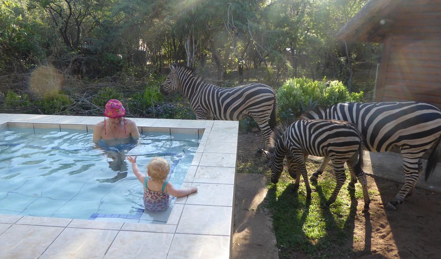 Kruger Cottage in Marloth Park, Mpumalanga, South Africa