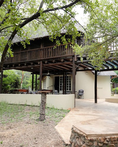 Treetops seen from the bush