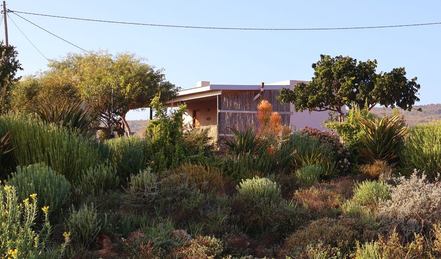 Bateleur Cottage photo 110