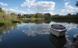 Ducks Country House image