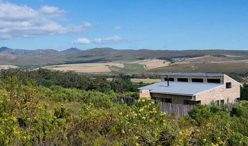 Oxalis Cottage amongst the fynbos