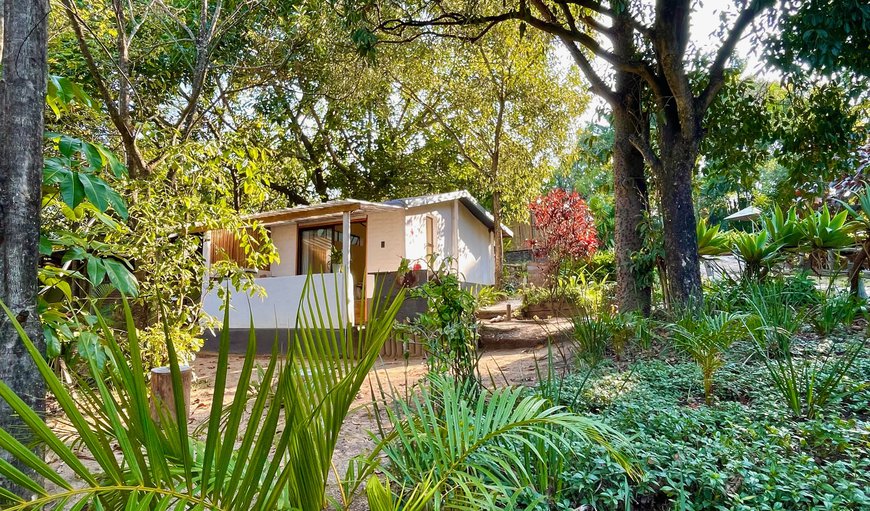 Leopard Suite: Garden views