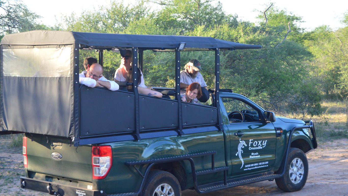 Champions and Chimpanzees - Foxy Crocodile Bush Retreat & Safaris