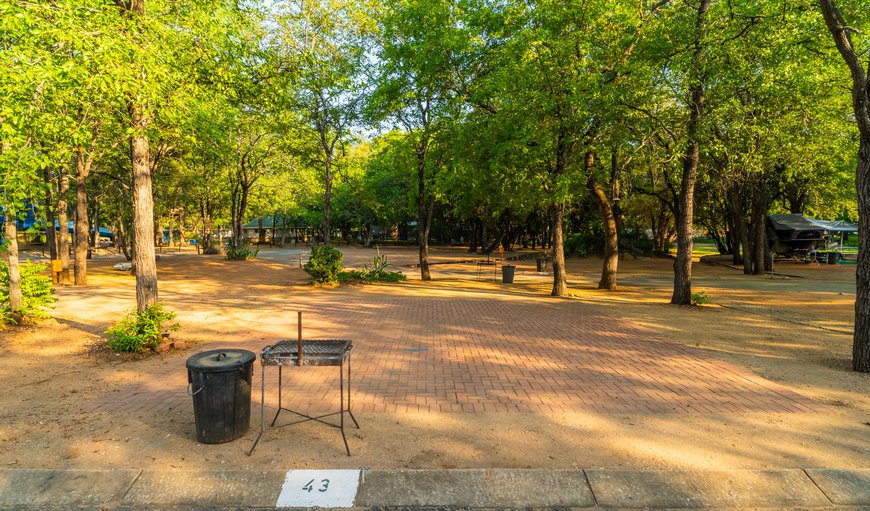 Camp Stand (block C paved) - NOT A ROOM: Camp Stand