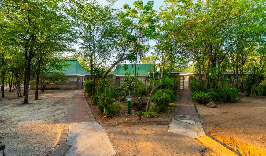 Camp Stand (block E paved, wheelchair): Bathroom