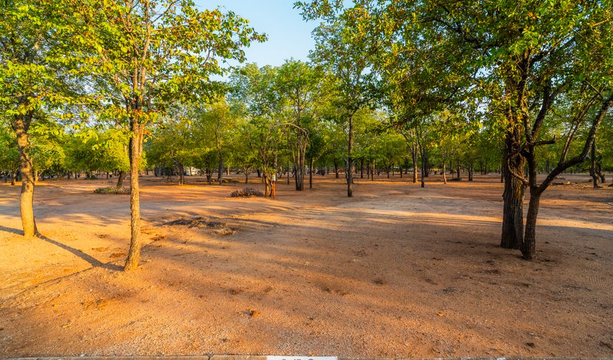 Camp Stand (block F tents or trailer): Camp Stand