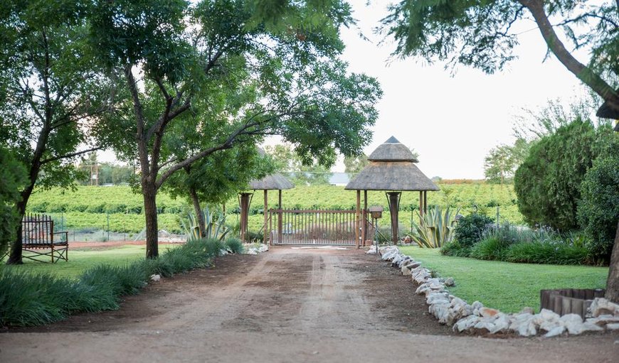 Belihante Lodge In Upington — Best Price Guaranteed