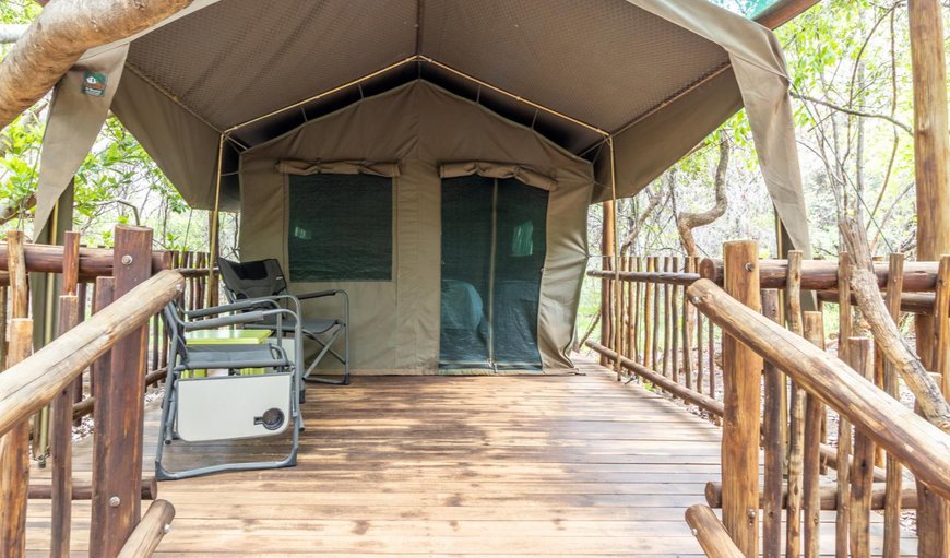 Molope Tented Camp: Photo of the whole room