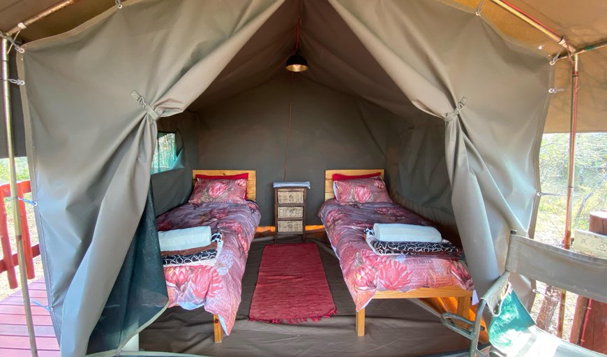 Tent 1, 2 Single Beds on Deck in Valley: 2 Single Tent on deck in valley incl lin - Tent with 2 single beds