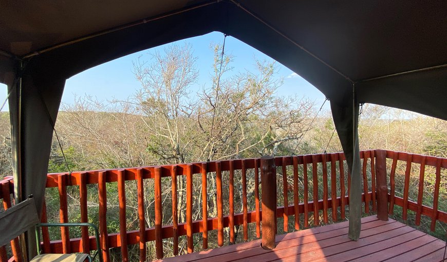 Tent 1, 2 Single Beds on Deck in Valley: 2 Single Tent on deck in valley incl lin - Stunning views