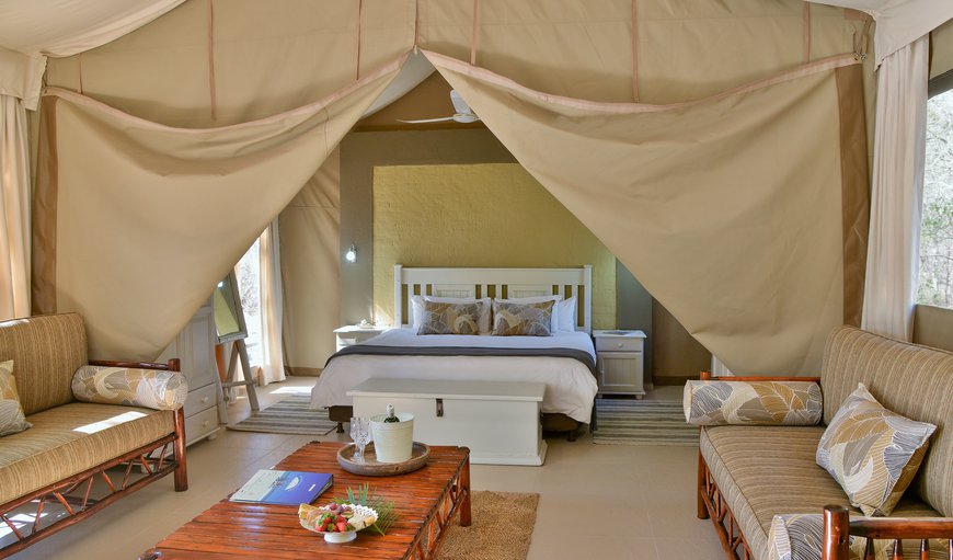 Family Safari Tent : Maxi Safari Tent