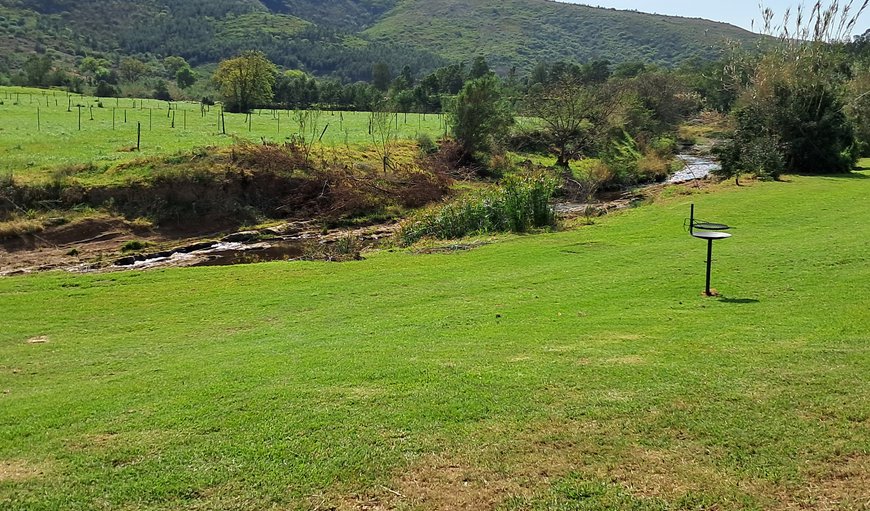 Camp Site Stream photo 173