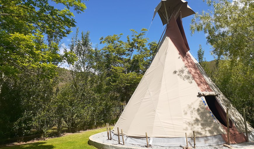 Noy Noy TiPi in Robertson, Western Cape, South Africa