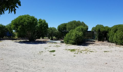 Camping Site photo 61