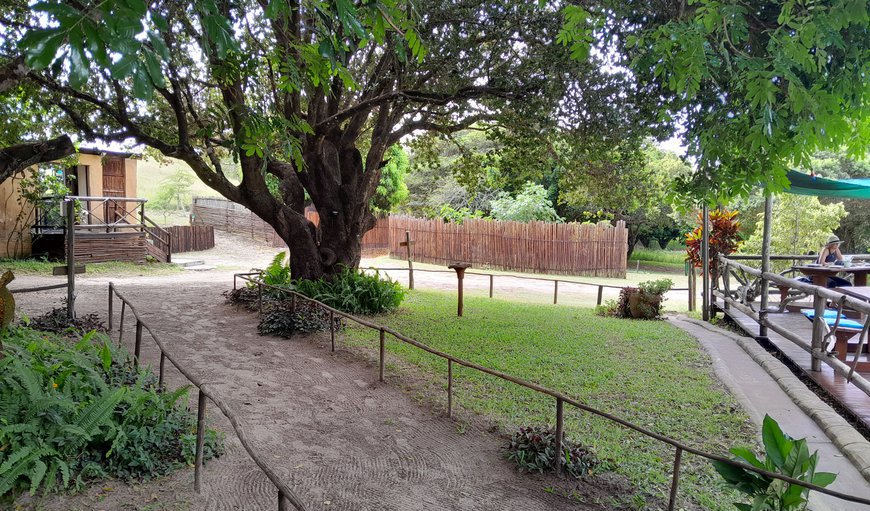 Pool and Restaurant area