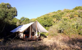 Quatermain’s 1920’s Safari Camp image