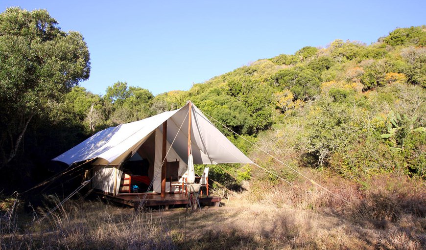 Quatermain's 1920's Safari Camp Double Tent in Paterson, Eastern Cape, South Africa