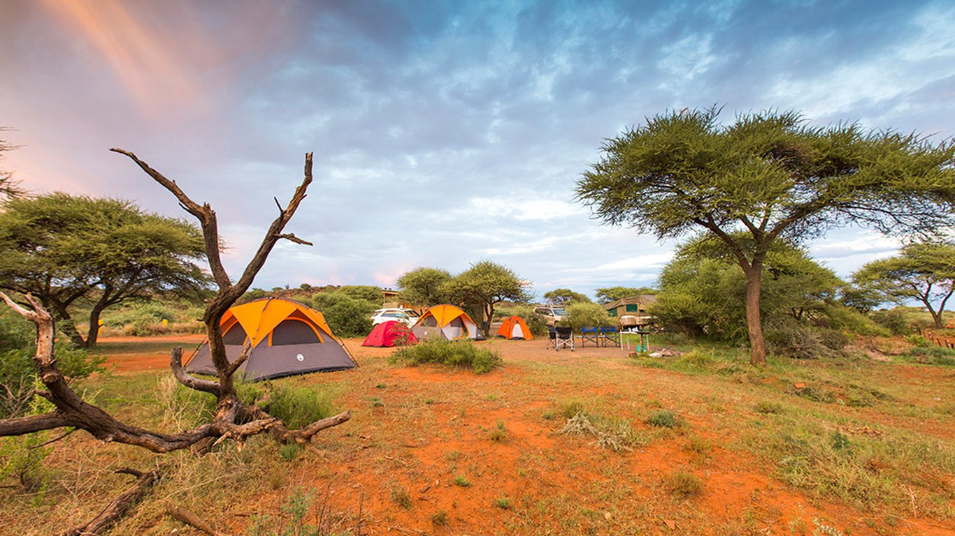 Haak En Steek Camp In Mokala National Park