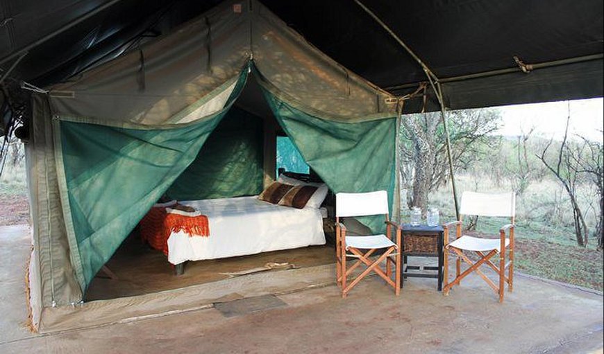 Thwane Camp Nguni: Thwane Camp Nguni Room

