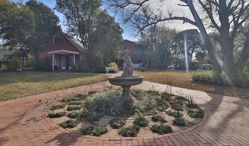 Garden in Scottsville, Pietermaritzburg, KwaZulu-Natal, South Africa