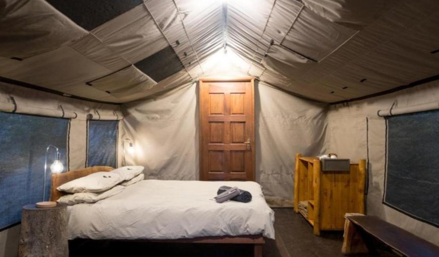 Luxury Safari Tent with Shower Only: Bed