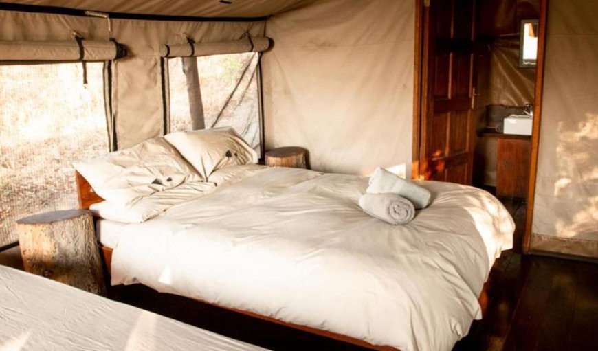 Luxury Safari Tent with Shower Only: Photo of the whole room