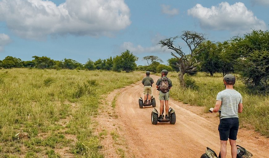 Segway Safari's