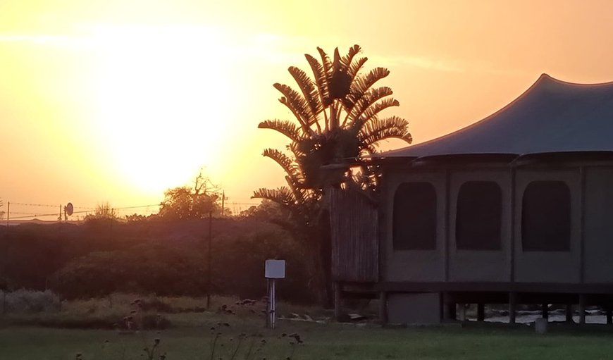 Hillcrest Lodge Farm in Plettenberg Bay, Western Cape, South Africa