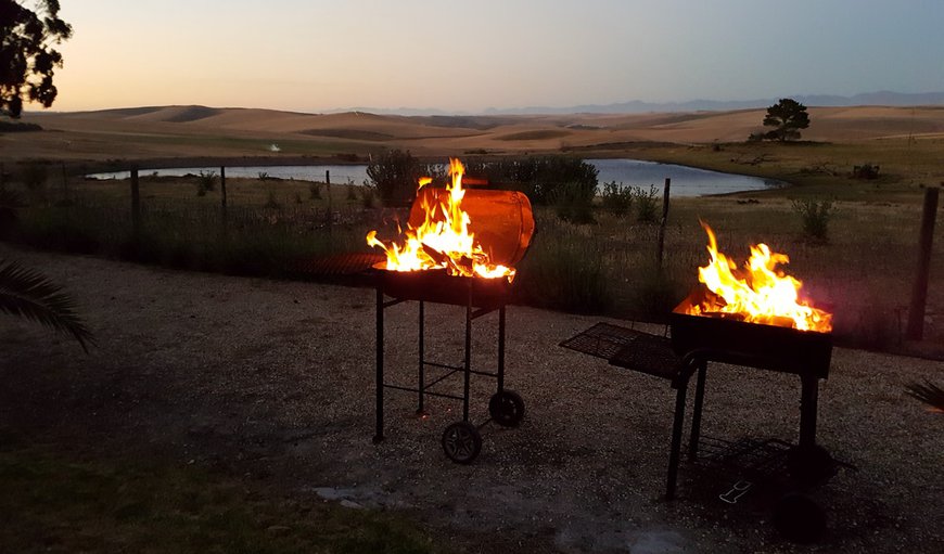 Braai area