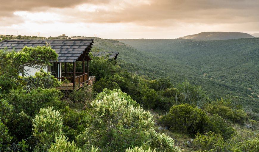 Surrounded by African bush in Paterson, Eastern Cape, South Africa