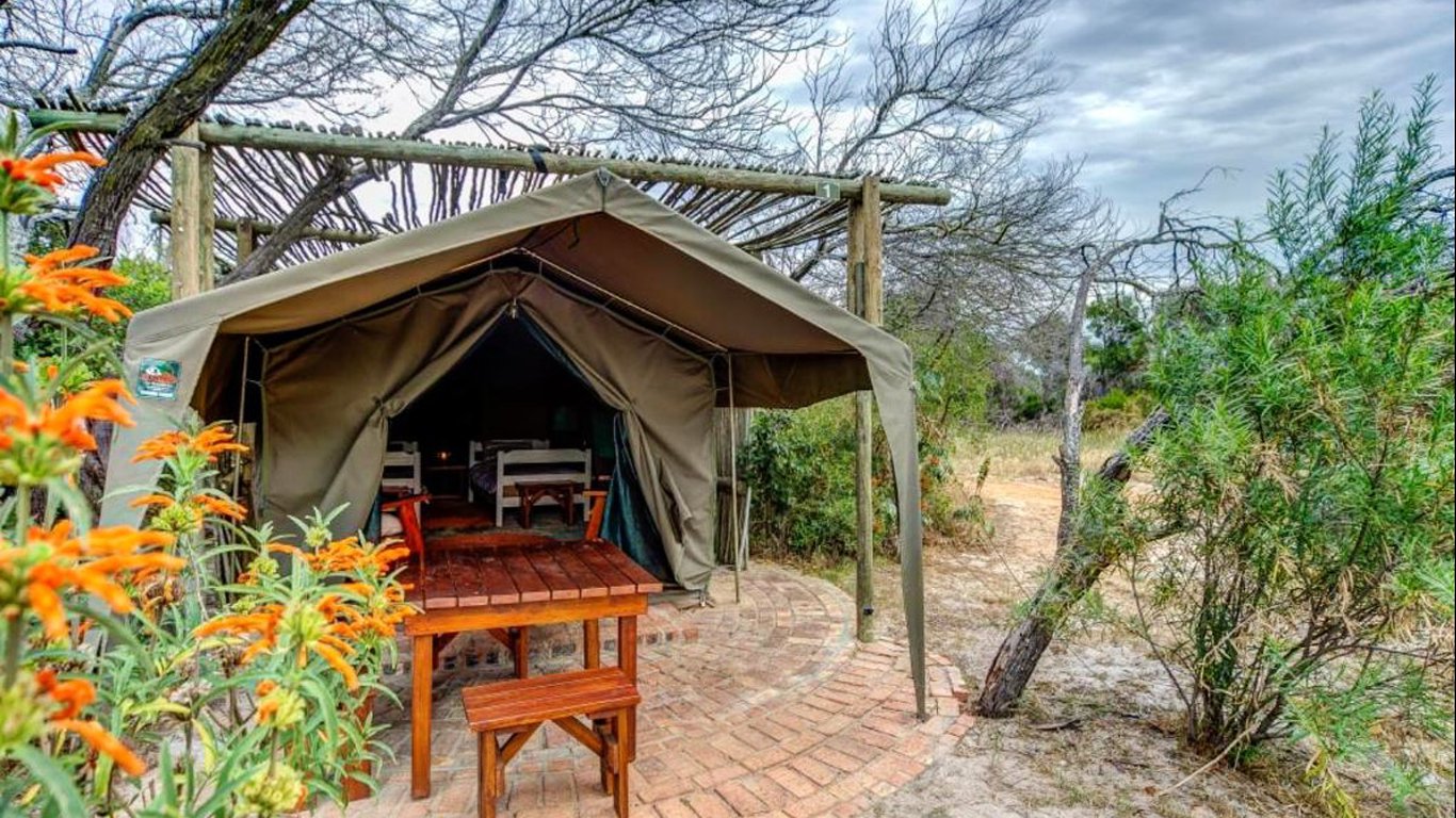 !Khwa ttu Bush Camp in Yzerfontein — Best Price Guaranteed