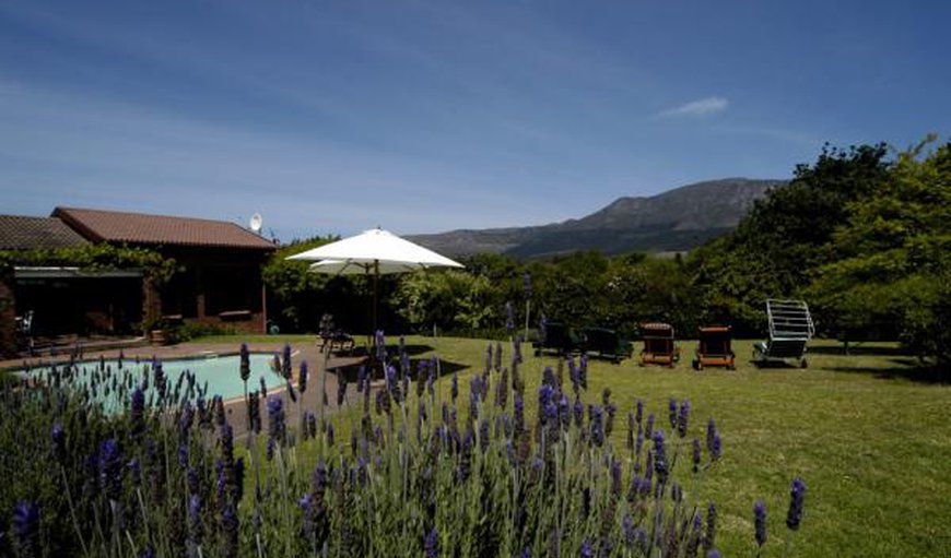 Le Petit Vignoble in Constantia, Cape Town, Western Cape, South Africa