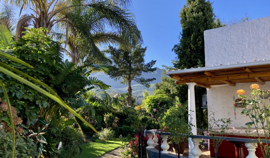 Garden in Glen Barrie, George, Western Cape, South Africa