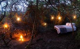 Stargazer Camp image